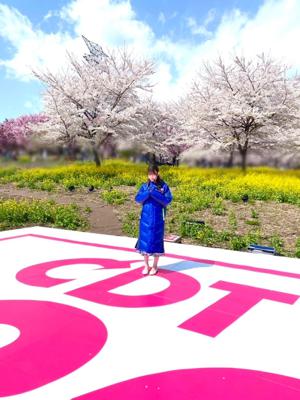 日差しに切り取られた - 画像3