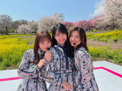 はるの香り - 画像5