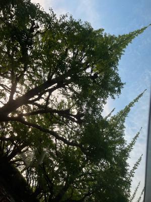 5月もよろしくです☺︎ - 画像4