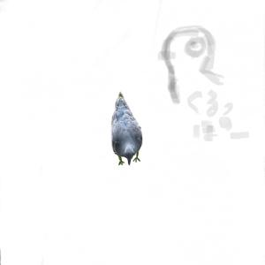 🪿･🦆･🕊 - 画像5
