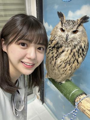 フクロウカフェ🦉 #なおもち 冨里奈央