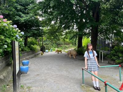 本日発売☆週刊少年チャンピオン☆そして真夏の全国ツアー大阪公演2日目！！ - 画像2