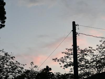 最近のこと - 画像4