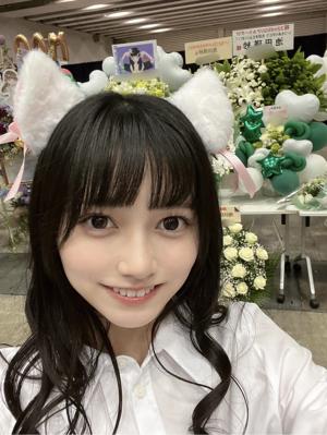 あの時助けていただいた猫です。 - 画像2