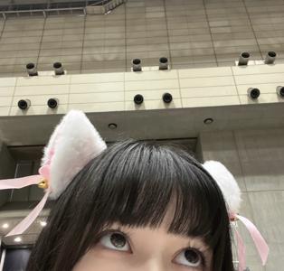 あの時助けていただいた猫です。 - 画像3