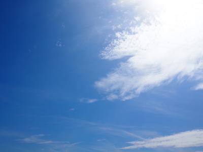 夏の栞 - 画像4