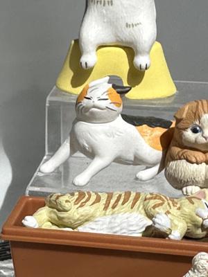 ミニライブ生配信🎤 冨里奈央 - 画像5