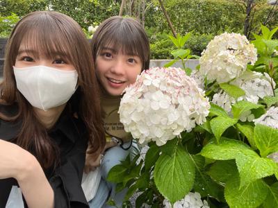 もう11月だって　#さつきぶろぐ - 画像5