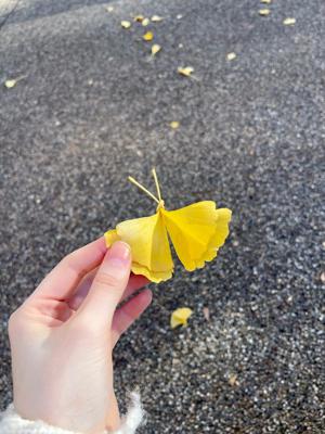 ここのところ晴れてた - 画像2