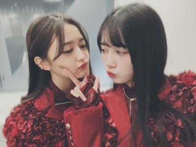 新宿西口のハトを救え！ - 画像4