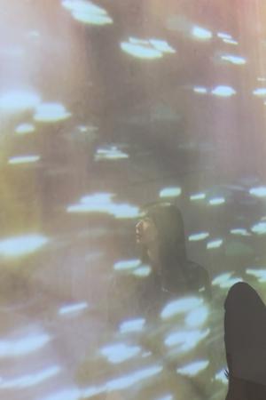 載せたい写真をただただ載せるだけのブログです　#さつきぶろぐ - 画像5