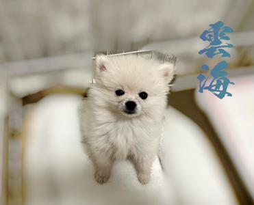 写真を載せます - 画像4
