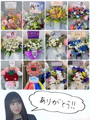 ４月です私は昨日毛布をしまいました　#あーやぶろぐ - 画像2
