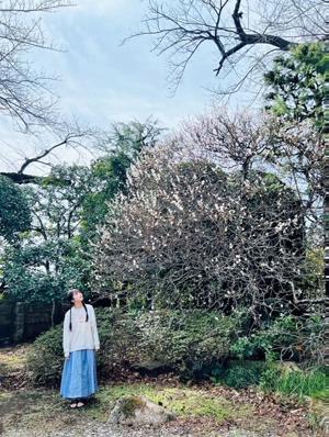 ４月です私は昨日毛布をしまいました　#あーやぶろぐ - 画像5