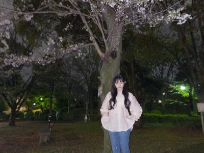 夜桜みれたよ🌸　　　川﨑桜 - 画像2