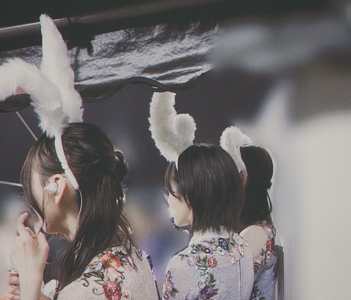 うさぎさんです - 画像2