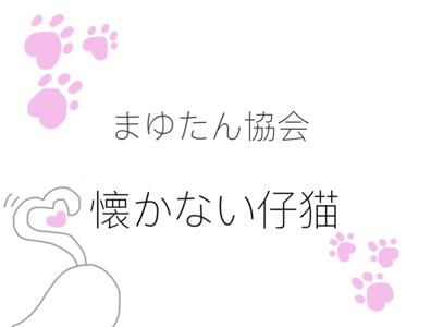まゆたん協会 - 画像2