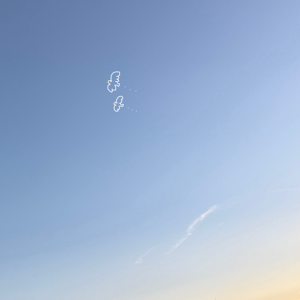 あいちてるのか？ - 画像4