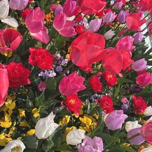 傘はあまりささないよ - 画像4