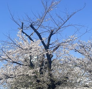 初めまして　瀬戸口心月 - 画像2