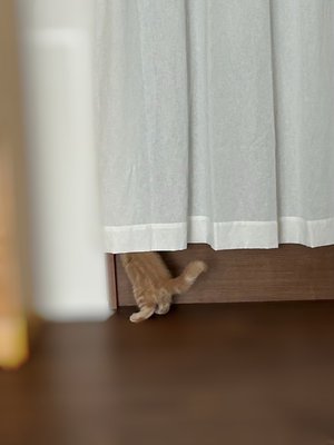 最近またラムネにハマりました - 画像4