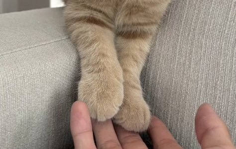 最近またラムネにハマりました - 画像5