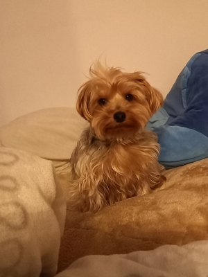 はじめまして〜　森平麗心 - 画像2