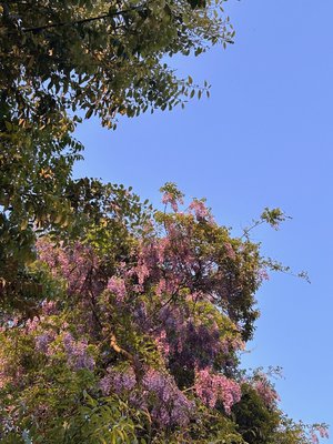 5月:) - 画像4