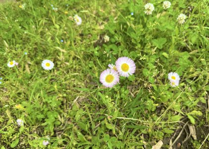 8に愛されてるかも - 画像5