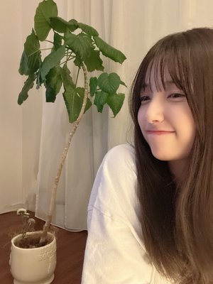 強くなりたい   五百城茉央  #きっきのにっき