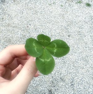 強くなりたい - 画像2