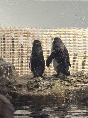 世界はフェイクだった - 画像3