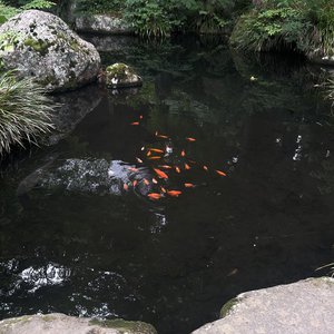 ただいま〜           鈴木佑捺 - 画像2