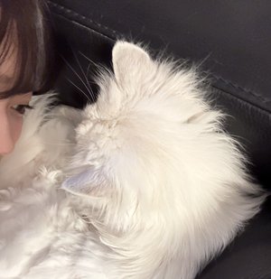 幸せのひととき　愛宕心響 - 画像3