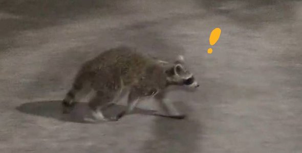 ニュースです。　　森平麗心 - 画像3