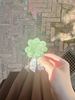 「君は四つ葉のクローバー」🍀 - 画像2