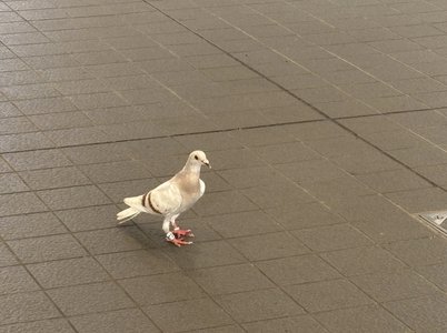 夏の終わりの定義 矢田萌華 - 画像3