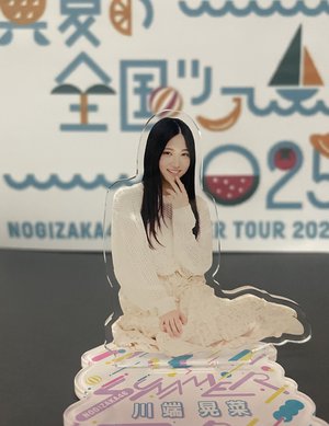 夏の日の2025    川端晃菜のサムネイル