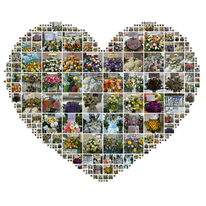 来年の夏はまたきっとここに来るだろう - 画像4