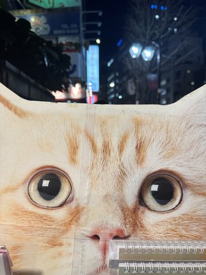 パラパラ　写真 - 画像2