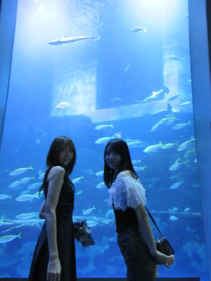 雪の世界と海の世界 - 画像2