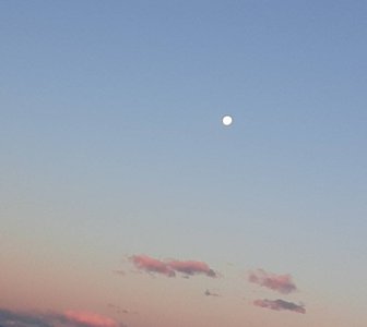 幸せをꨄ🪽⟡⁺.　　森平麗心のサムネイル