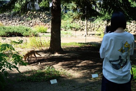 照れる気持ちはどのくらい？ - 画像3