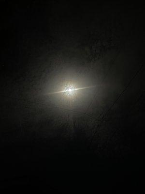 それぞれの感覚 - 画像4