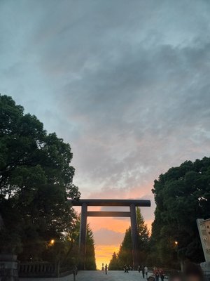 目覚めたら山に登りたい気分だった #りおたんの満開ブログ - 画像3