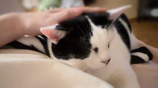 誰かの光に - 画像3