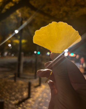 今、飛び箱の踏み台を踏み込みたい　　　五百城茉央のサムネイル