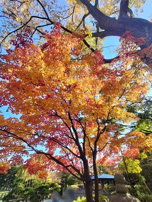 風が冷たくなると    - 画像5