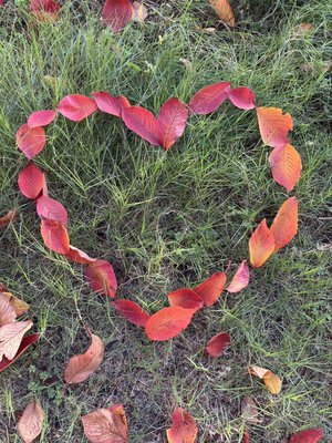 太陽が霞むくらい   五百城茉央  #きっきのにっきのサムネイル