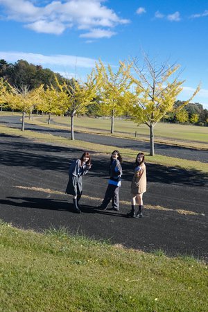 良い写真 - 画像2